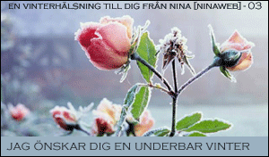 Fr&aring;n Nina!